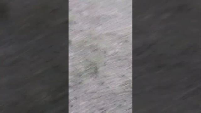 мы пробрались через забор в детский сад с моим другом Артёмом 1 часть смотреть онлайн
