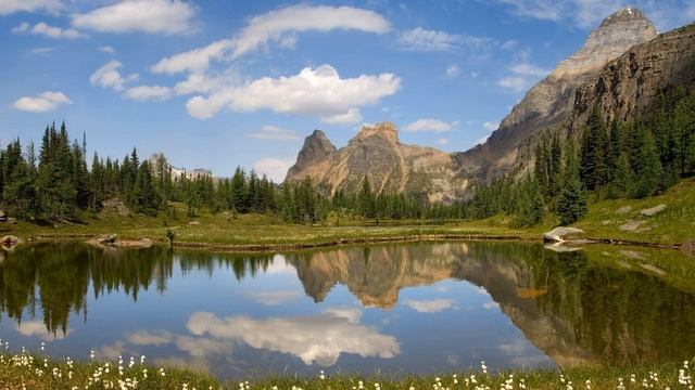 Свекровь сделала подарок — свою квартиру, но продать нам её не разрешает. Истории из жизни смотреть онлайн