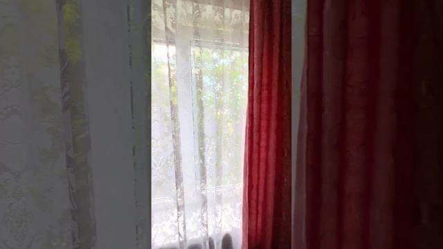 Искали трёшку, вторичку рядом с морем и развитой инфраструктурой?! смотреть онлайн