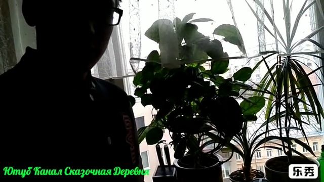 Поездка в Москву с человеком-мумией) смотреть онлайн