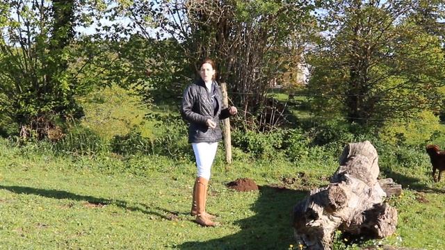 Vidéo #12: le tronc d'arbre en selle смотреть онлайн
