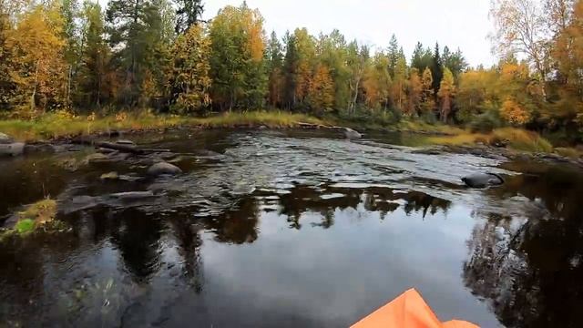 Рыбалка в Карелии. Водометный экстрим на лодке Solar 430SJT + Golfstream T30 Jet.