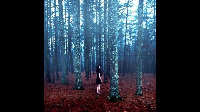 Ветер воет, душу моет. Олег Данкир. Лес ночной в сюре. Щедрин Р. (Concerto dolce. Ч-3) смотреть онлайн
