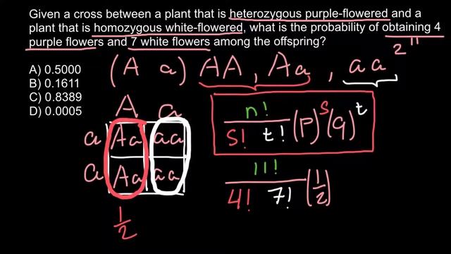 How to solve probability problems in genetics 10 смотреть онлайн