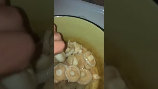 Солить груздь смотреть онлайн