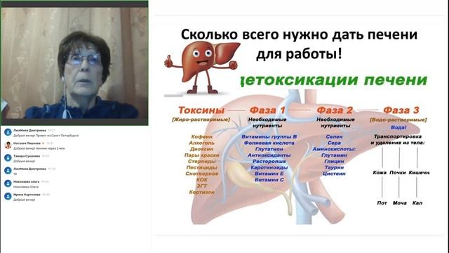 Как подготовить ЖКТ к праздничным нагрузкам? Здоровье без лекарств с Натальей Пашковой смотреть онлайн