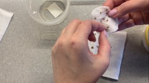 Посев семян розмарина без СТРАТИФИКАЦИИ