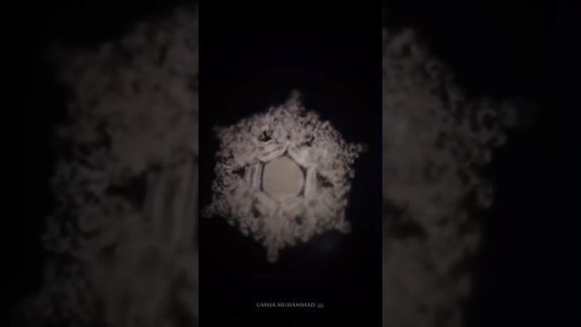 🌱Пророк (ﷺ) сказал: ⟨⟨Лучшая вода на зеле-вода ⟨⟨Зам-Зам⟩⟩. смотреть онлайн