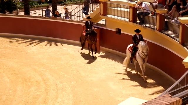 Samsung NX11 - test możliwości wideo смотреть онлайн