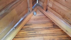 КУПИЛИ ДАЧУ. ОБЗОР.