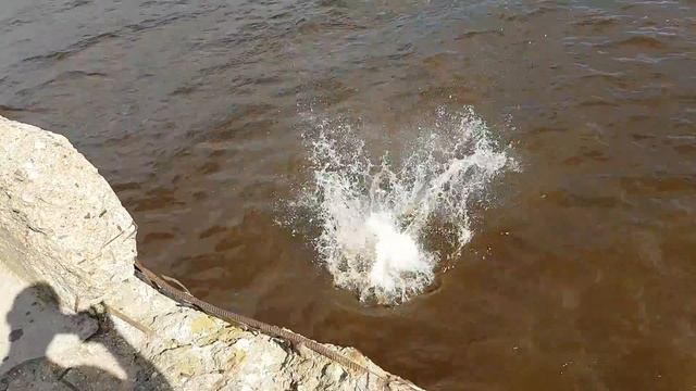 Липин Бор, Вологодская область, Белое озеро смотреть онлайн