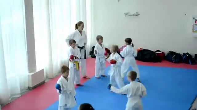 Открыт набор секцию олимпийского каратэ WKF во ДС "Надежда" смотреть онлайн