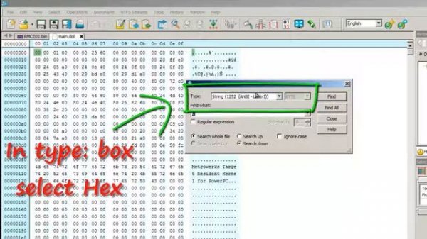 【MKWii】How to Inject Cheats Codes in the File main.dol with Hex Editor Neo.