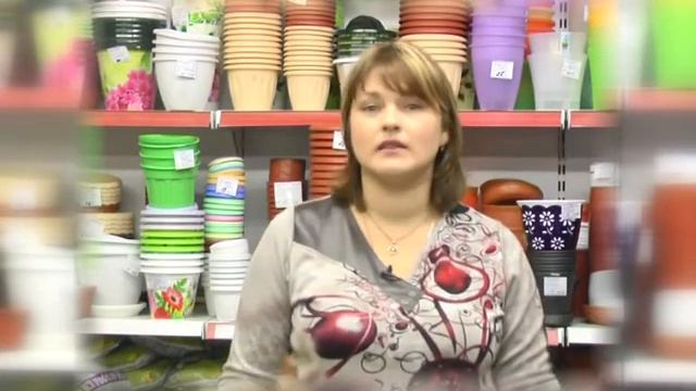 КАЛЕНДАРЬ ПРИРОДЫ НА 1 03 и 3 03 сажаем петунию смотреть онлайн