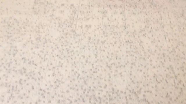 Рисование по номерам #самоизоляция смотреть онлайн