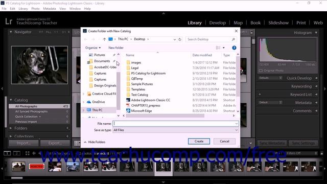 Lightroom Classic CC Tutorial Creating New Catalogs Adobe Training смотреть онлайн