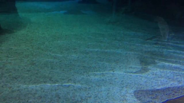 The Resurrection of Gavin Stone Music Songs sc смотреть онлайн