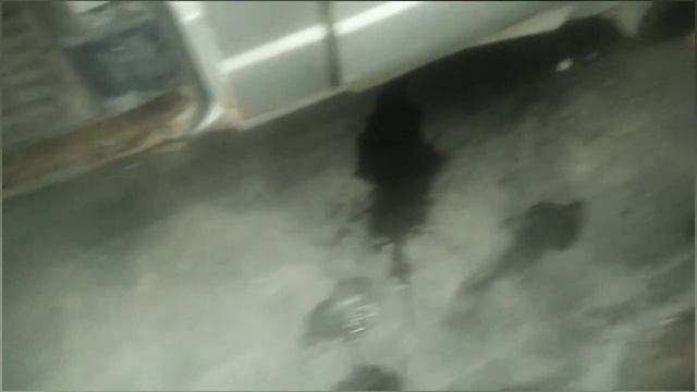Соболь надо завести после 5-х рук смотреть онлайн