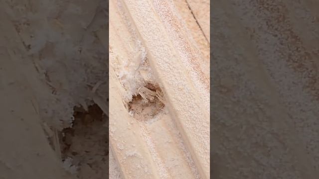 Сборка на березовый нагель смотреть онлайн