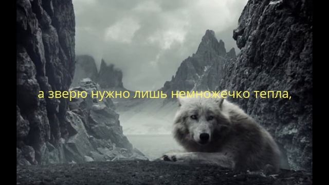 У волка сложная судьба смотреть онлайн