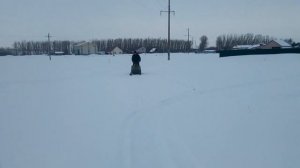 Снегоход Лайка 2м