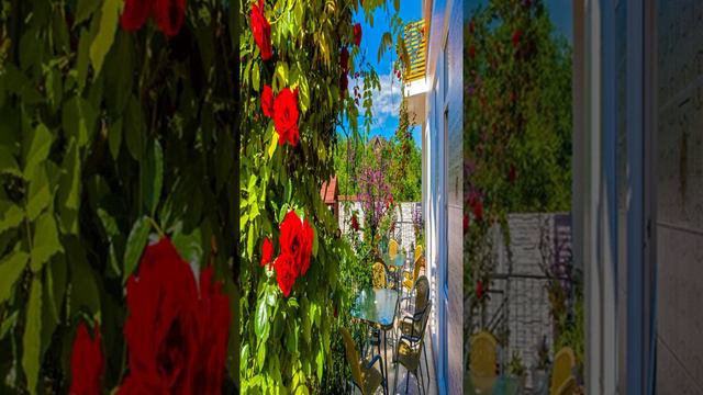 Dolce Vita Hotel - Gelendzhik - Russian Federation