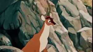 Волк и олень