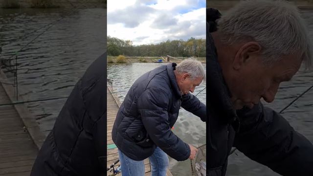 Нарушаем, ради хорошего кадра. Сразу 2 гостя в одном видео. Рыбалка на пирсе. смотреть онлайн