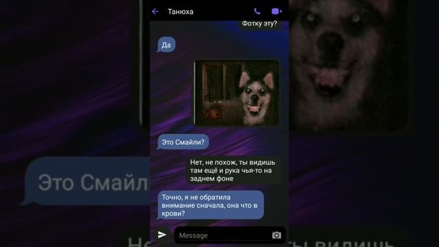 Что-то не так с моей собакой ? Страшная Переписка / Смайл Дог в моей квартире смотреть онлайн