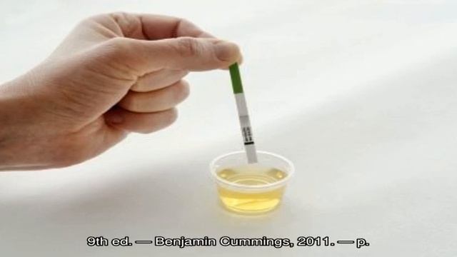 Можно ли вечером делать тест на беременность? смотреть онлайн