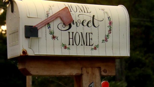 Canon 90D & Tamron 18-400mm | Golden Hour and Low Light Photography and 4k Video | Cinematic Video смотреть онлайн