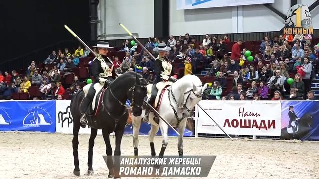 «Иппосфера-2019». Номер с андалузскими и американскими миниатюрными лошадьми. смотреть онлайн