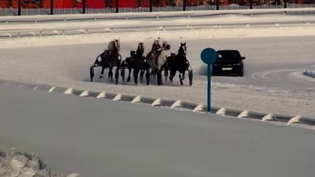 28 Января 2017 4 Заезд ПРИЗ «РУССКАЯ ЗИМА» смотреть онлайн