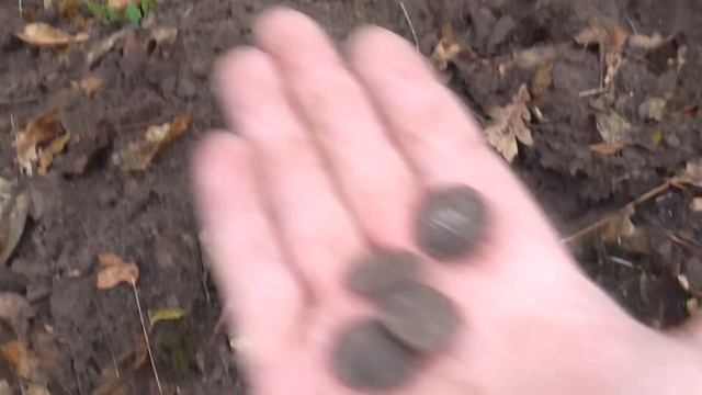 На старой ЖД станции нашел ПИСТОЛЕТ!!! Осенний коп и рассыпуха пуговиц. смотреть онлайн