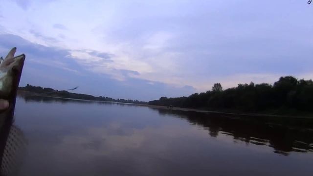 Как поймать судака ночью на пляже. Лучшие воблеры на судака. Ловля судака. Issei G.C Minnow 89sp смотреть онлайн