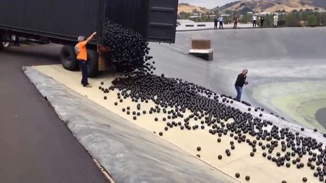 96000000 черных пластиковых шариков - California's Drought 2015. 96 Million Plastic Balls