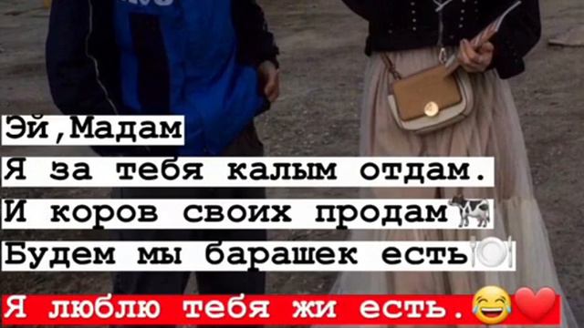 Я люблю тебя жи есть🖤🐊🌹💪🤣☝️ смотреть онлайн