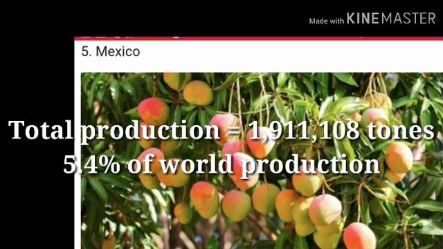 Worlds top 10 mongo producing country смотреть онлайн
