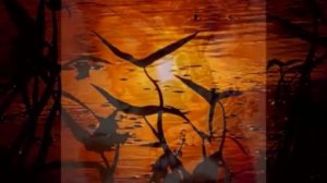 Жираф Ваенга