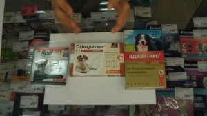 Капли vs таблетки от клещей собак