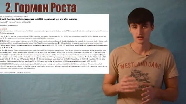 Зачем нужна ГАМК (GABA) или гамма-аминомасляная кислота смотреть онлайн