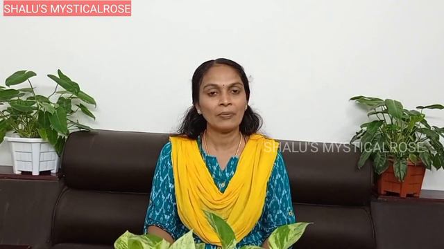 PLANT CARE/സംശയങ്ങളും മറുപടികളും/ REPLY FOR YOUR COMMENTS/ചെടികളെക്കുറിച്ചുള്ള സംശയങ്ങൾ ചോദിച്ചോളൂ смотреть онлайн