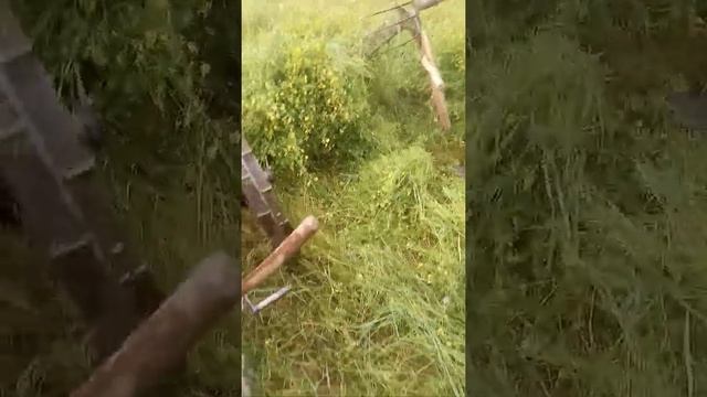 Двухконка. Косим огород смотреть онлайн