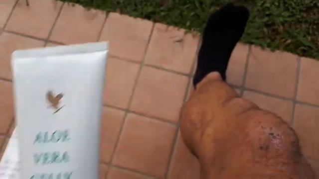 #Aloe Vera #trattamento ginocchio ferito смотреть онлайн