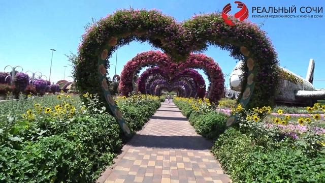 Dubai Miracle Garden. Парк цветов в Дубае. Большой обзор. ДУБАЙ смотреть онлайн