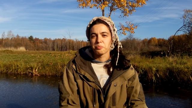 Здоровье животных смотреть онлайн