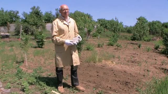 Наколенники от Судогодского РТП смотреть онлайн