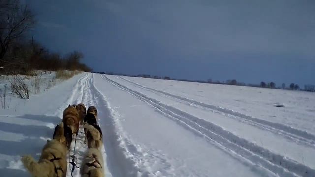 Алтай 11января -3 смотреть онлайн