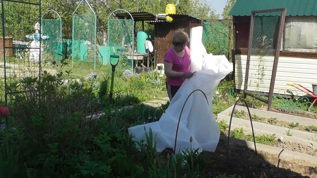 Поливаем участок и продолжаем утеплять мансарду.