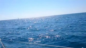 ОЗДОРОВИТЕЛЬНЫЙ КОМПЛЕКС «ДАГОМЫС», г. Сочи